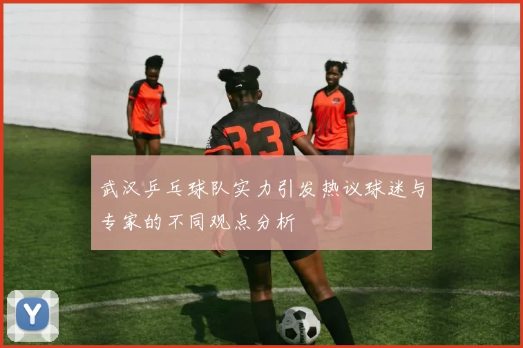 武汉乒乓球队实力引发热议球迷与专家的不同观点分析