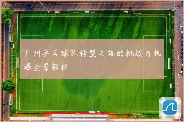 广州乒乓球队转型之路的挑战与机遇全景解析