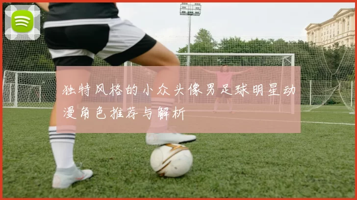 独特风格的小众头像男足球明星动漫角色推荐与解析