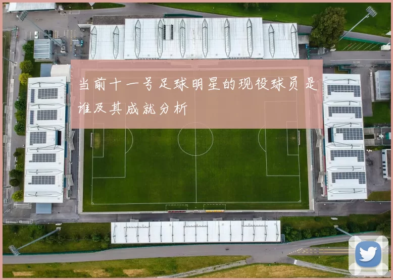 当前十一号足球明星的现役球员是谁及其成就分析