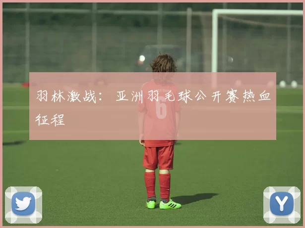 羽林激战：亚洲羽毛球公开赛热血征程
