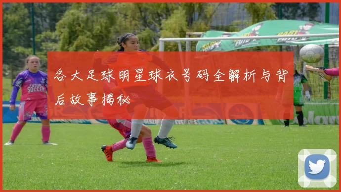 各大足球明星球衣号码全解析与背后故事揭秘
