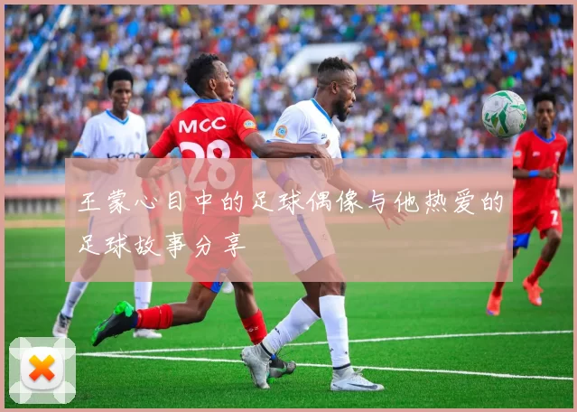 王蒙心目中的足球偶像与他热爱的足球故事分享