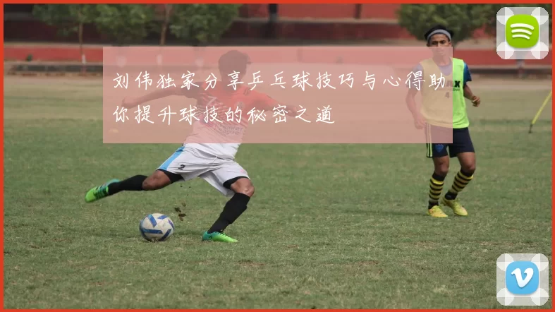 刘伟独家分享乒乓球技巧与心得助你提升球技的秘密之道