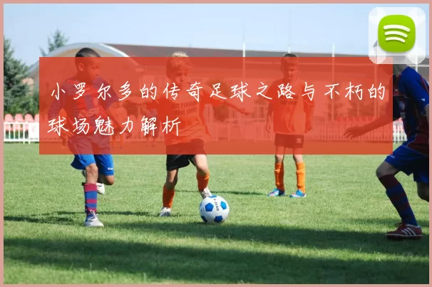 小罗尔多的传奇足球之路与不朽的球场魅力解析