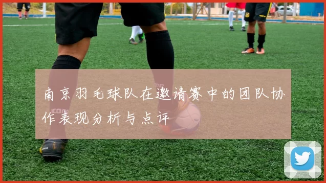 南京羽毛球队在邀请赛中的团队协作表现分析与点评