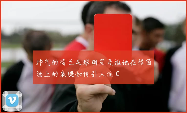 帅气的荷兰足球明星是谁他在绿茵场上的表现如何引人注目