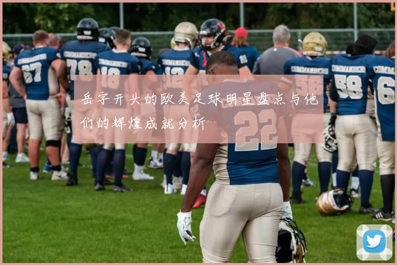 岳字开头的欧美足球明星盘点与他们的辉煌成就分析