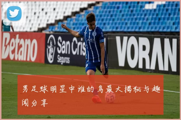 男足球明星中谁的鸟最大揭秘与趣闻分享