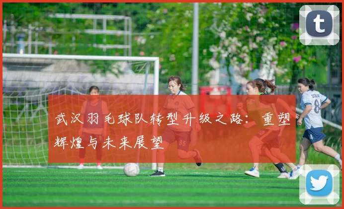 武汉羽毛球队转型升级之路：重塑辉煌与未来展望