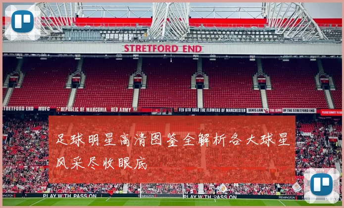 足球明星高清图鉴全解析各大球星风采尽收眼底