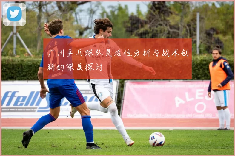 广州乒乓球队灵活性分析与战术创新的深度探讨