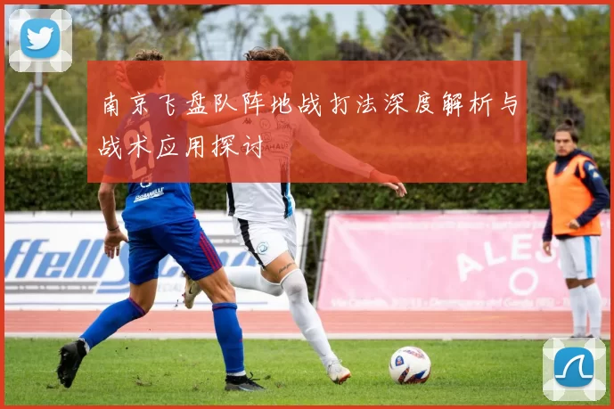 南京飞盘队阵地战打法深度解析与战术应用探讨