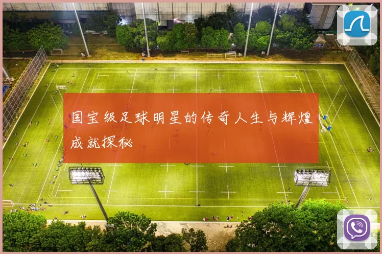 国宝级足球明星的传奇人生与辉煌成就探秘
