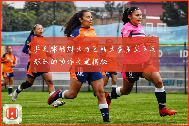 乒乓球的魅力与团结力量重庆乒乓球队的协作之道揭秘