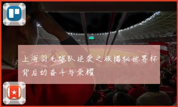 上海羽毛球队逆袭之旅揭秘世界杯背后的奋斗与荣耀