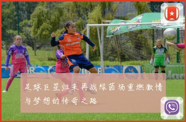 足球巨星归来再战绿茵场重燃激情与梦想的传奇之路