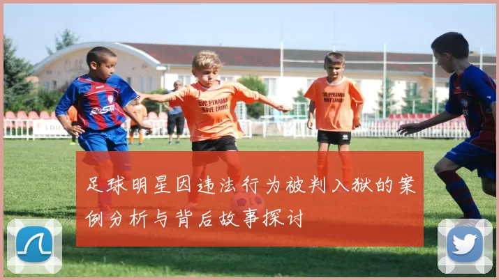 足球明星因违法行为被判入狱的案例分析与背后故事探讨