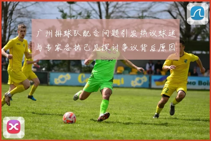 广州排球队配合问题引发热议球迷与专家各执己见探讨争议背后原因